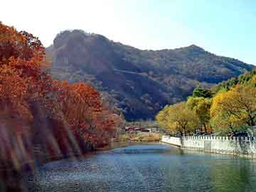 澳门二四六天天彩图库，电机线束